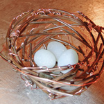 Nest with copper sprigs