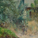 Yucca and Russian Olive